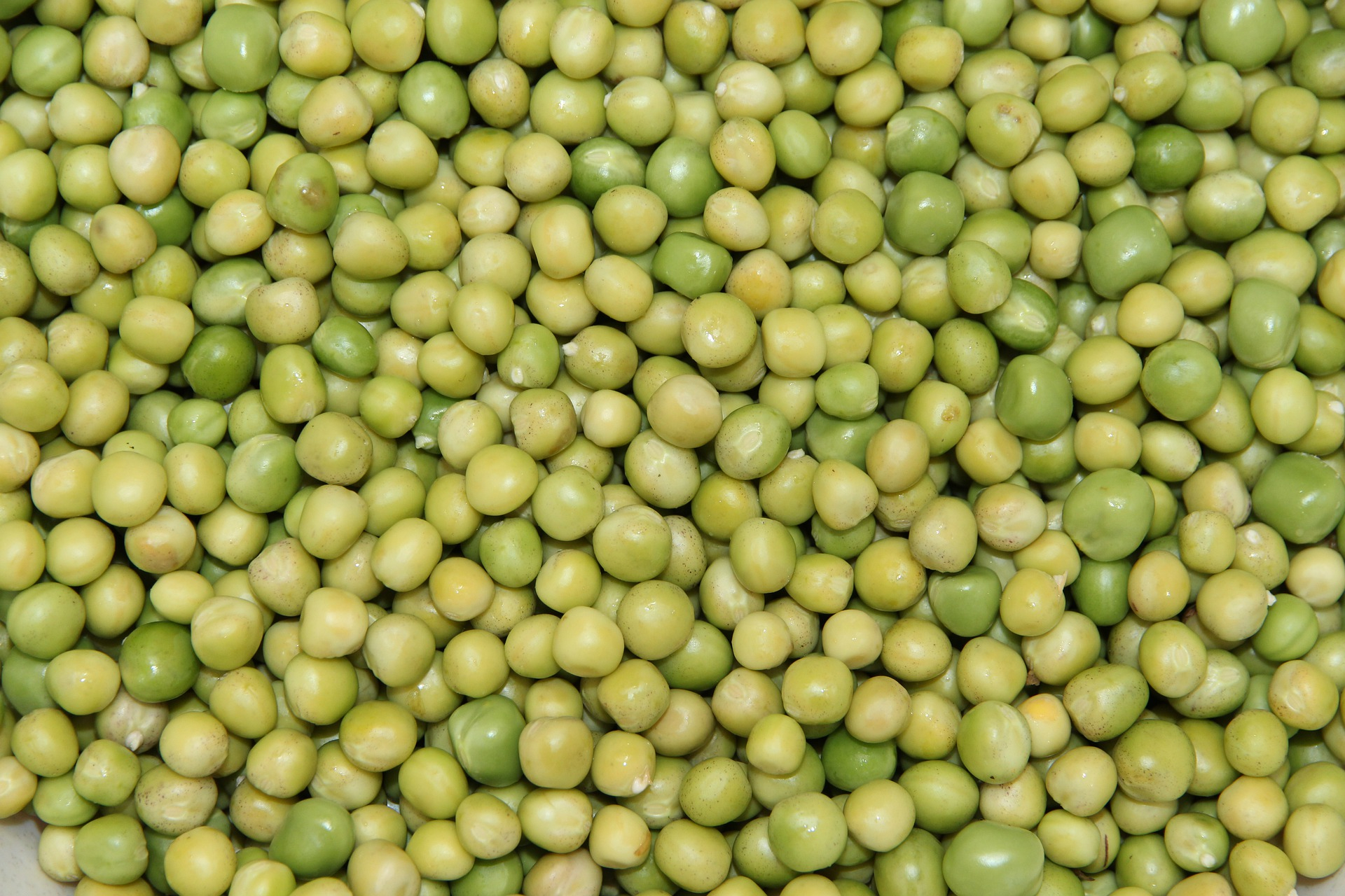 peas-5921245_1920.jpg