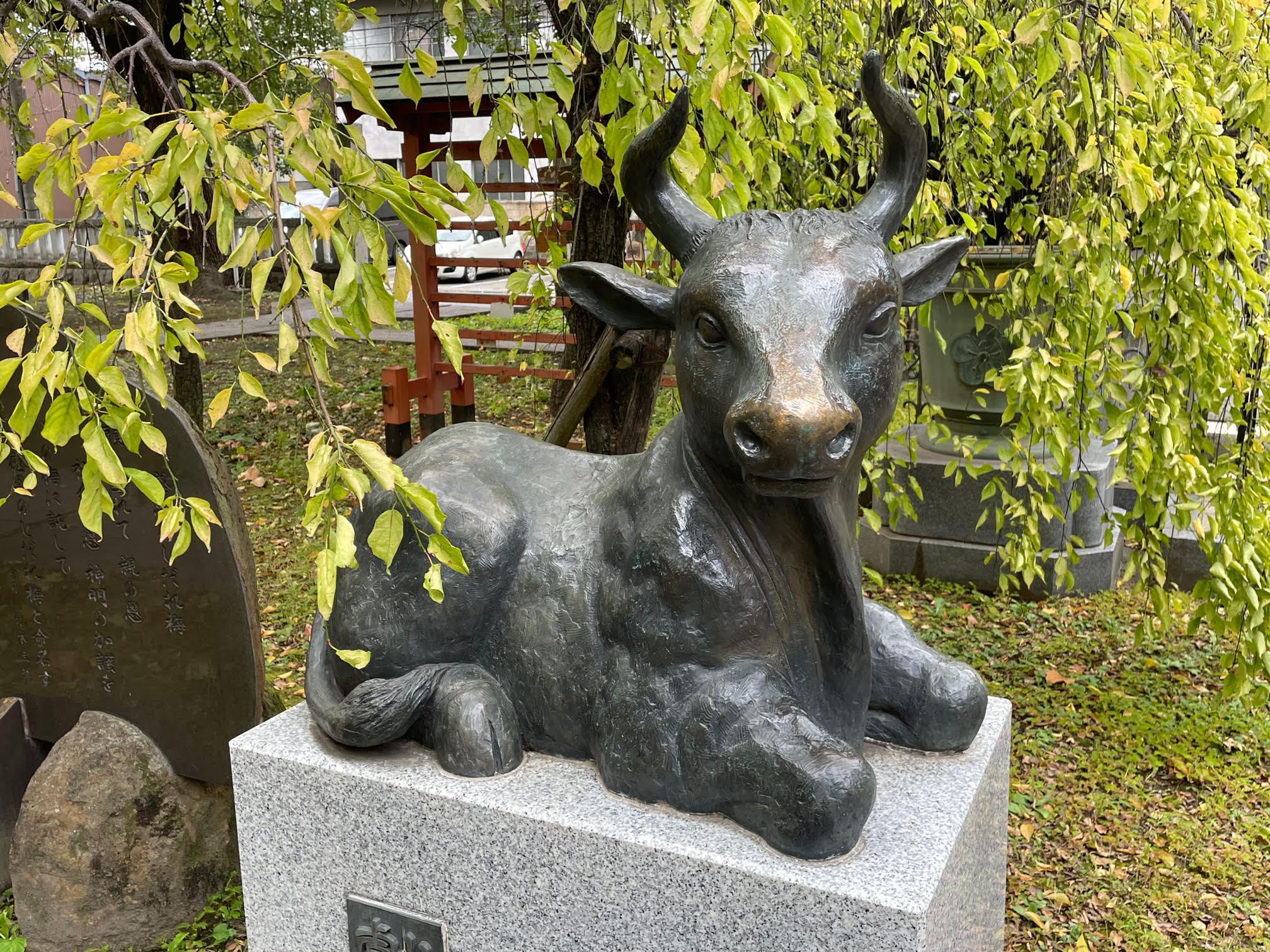 神牛.jpg