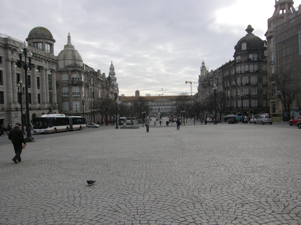 P1240990.JPG
