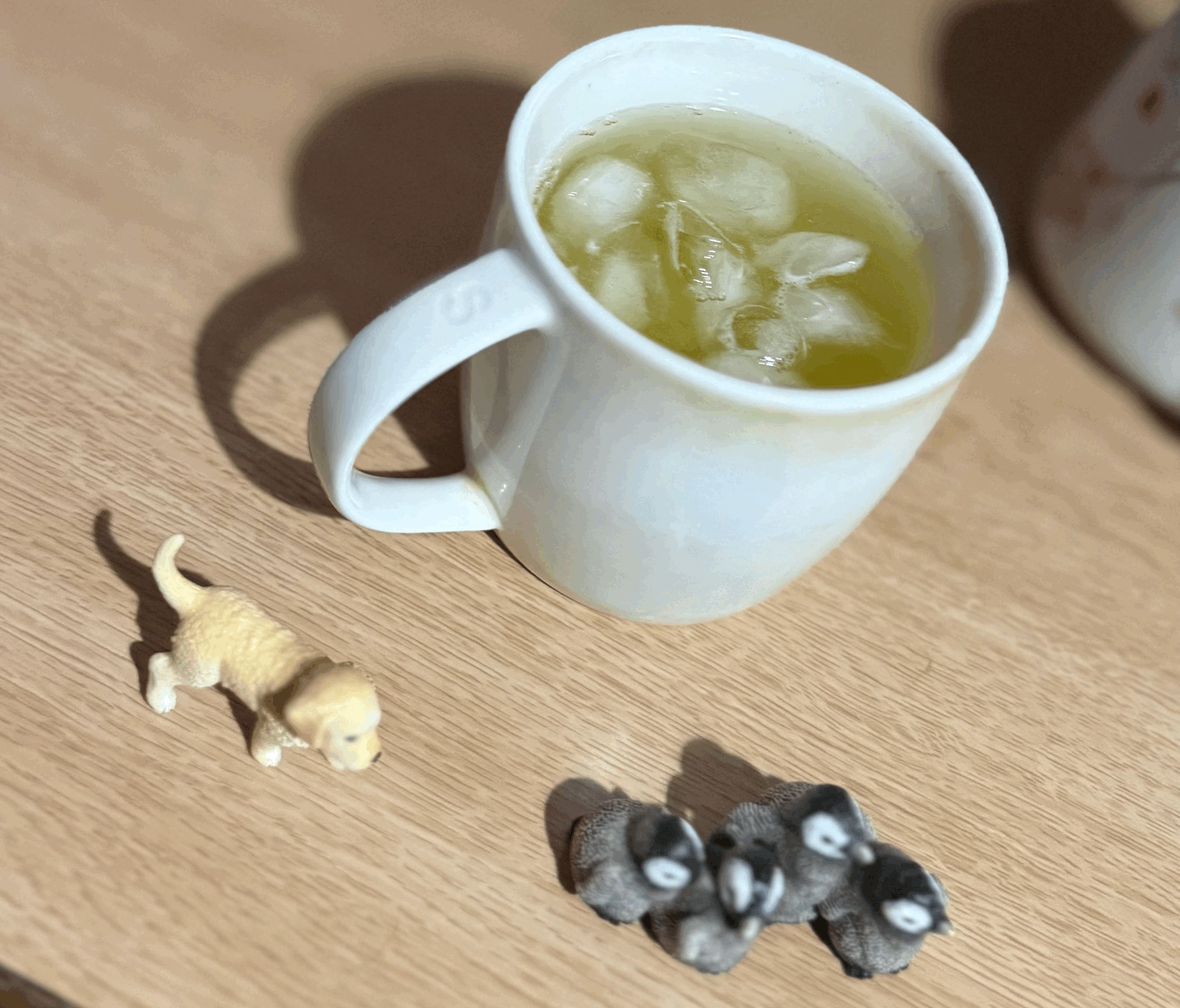 tempImageBmXyH6.gif