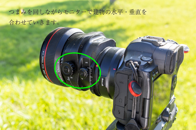 1W2A3378-強化-NR_1.jpg