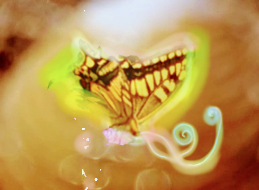 sketch-1669526178822 (1).png