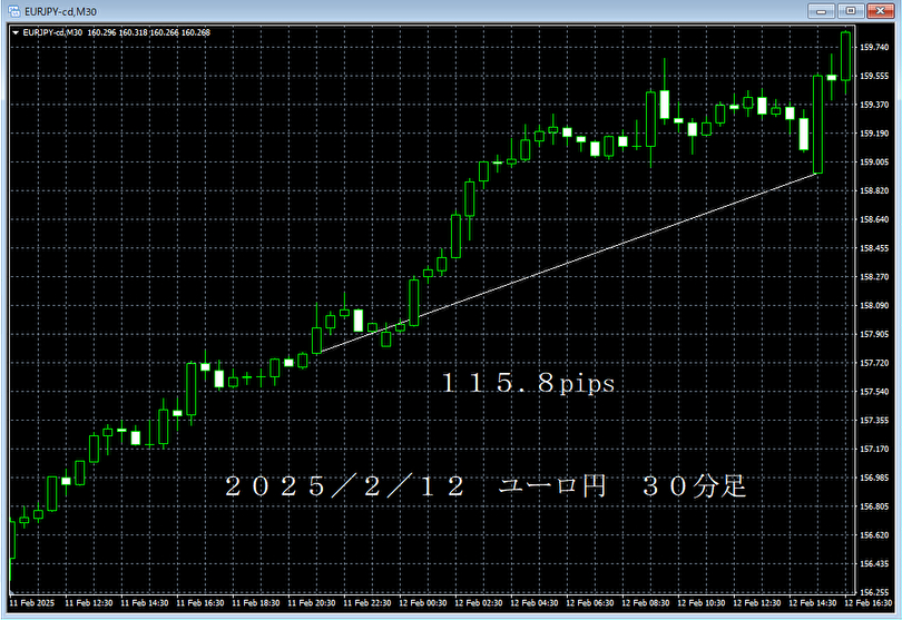 20250212ユーロ円３０分足.png