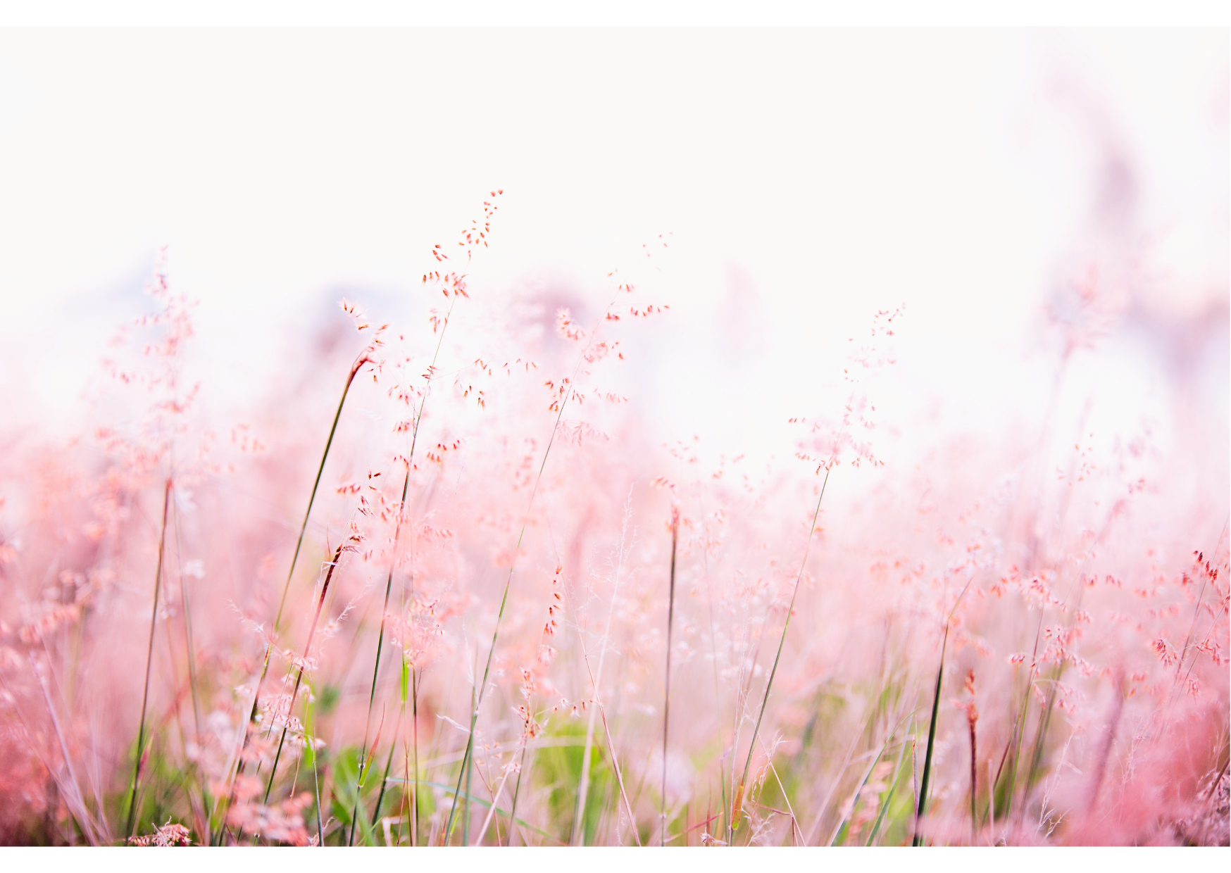 名称未設定のデザイン - 2023-11-21T004220.657.png