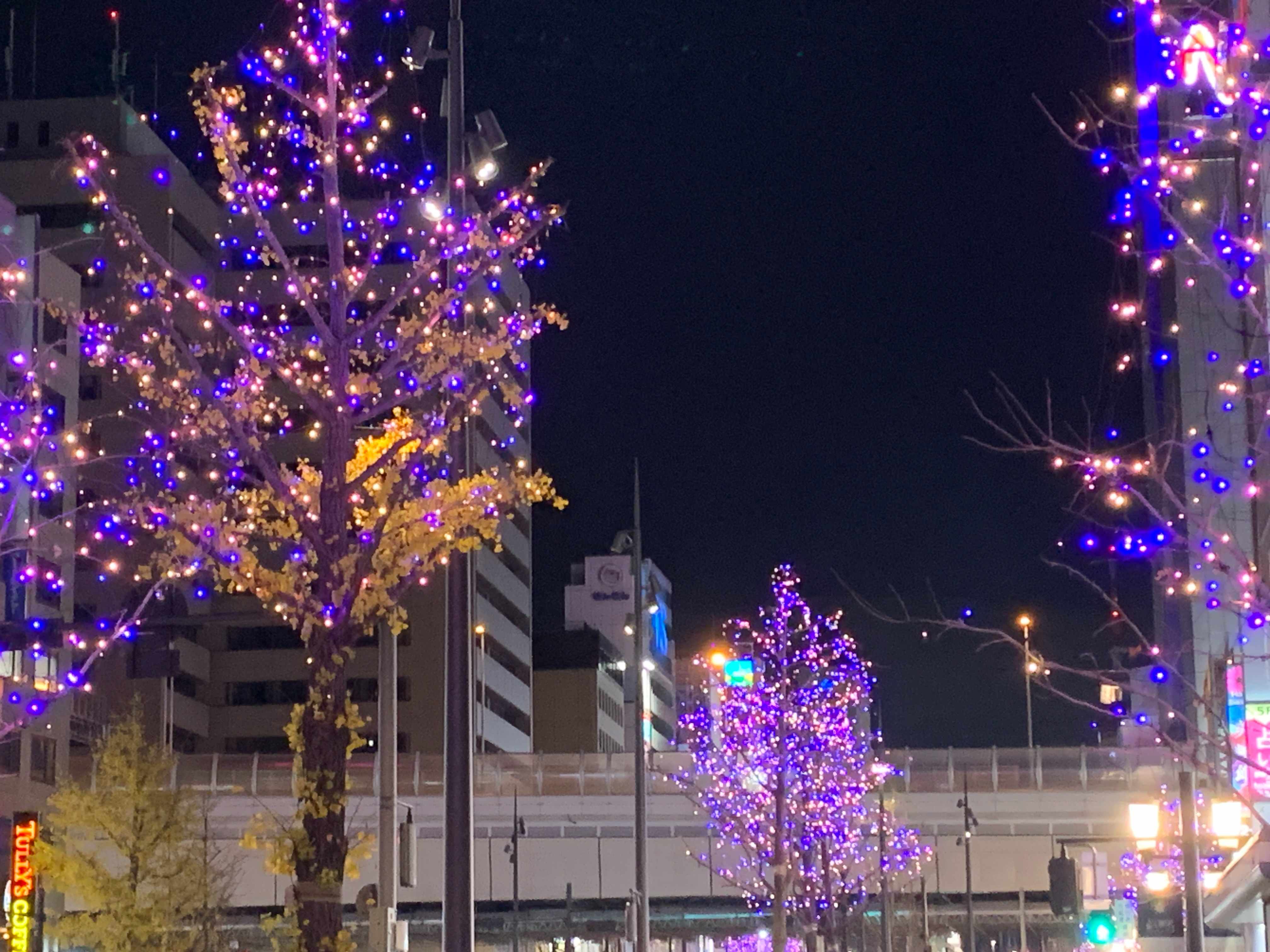 IMG_3131 (2).JPEG