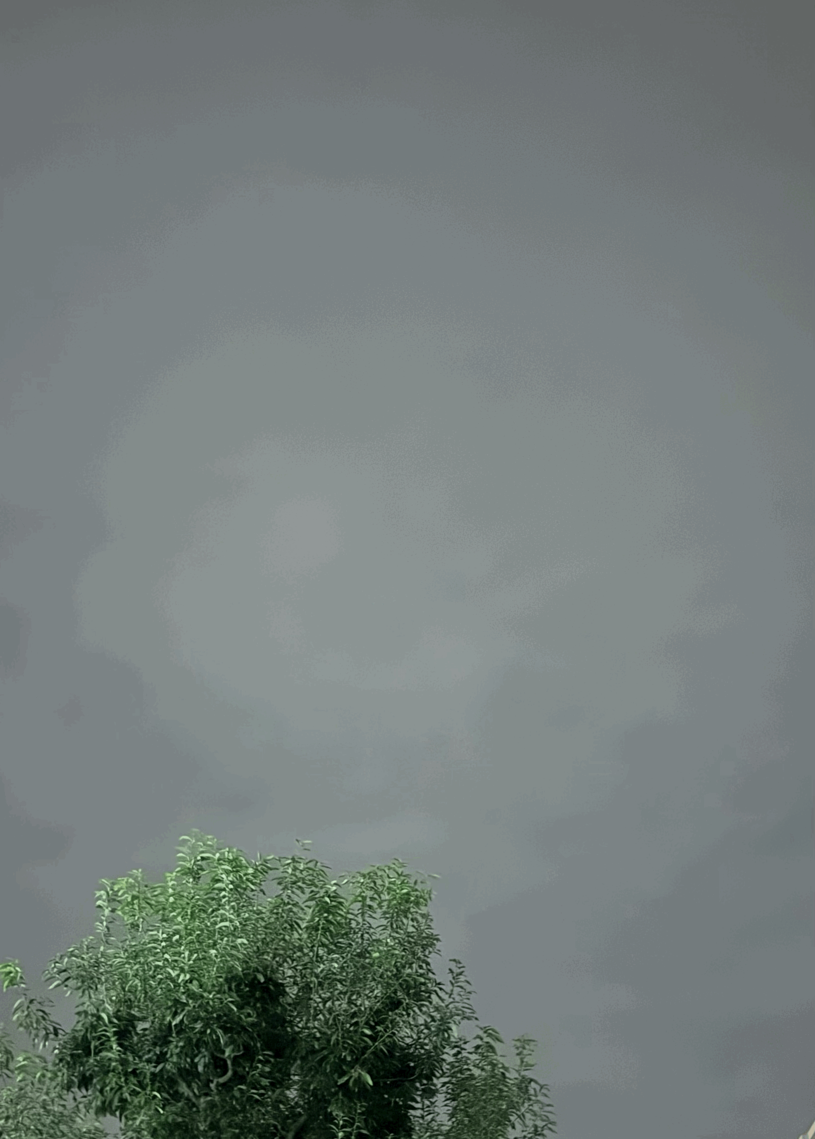 tempImagebRtNlr.gif