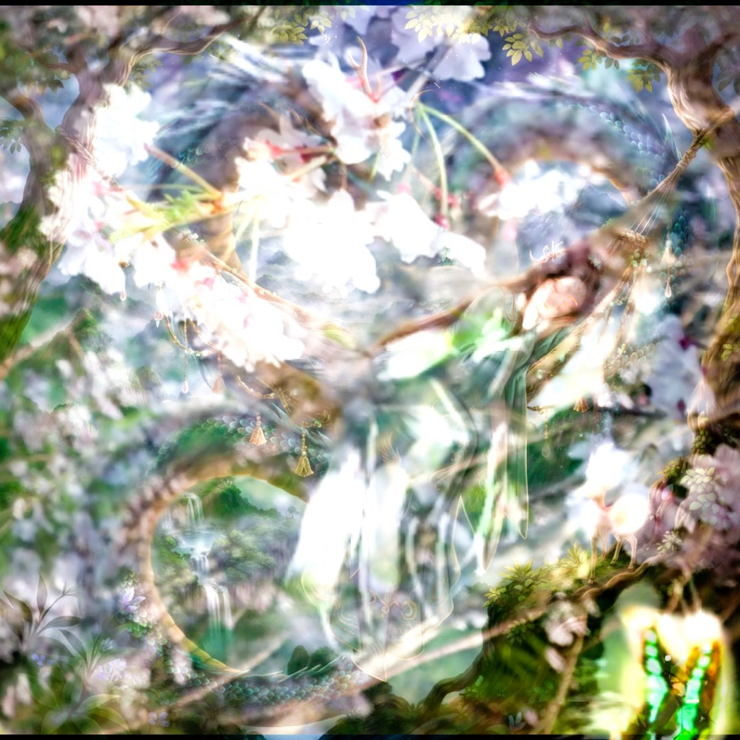 _20260212_063945ppp.JPG
