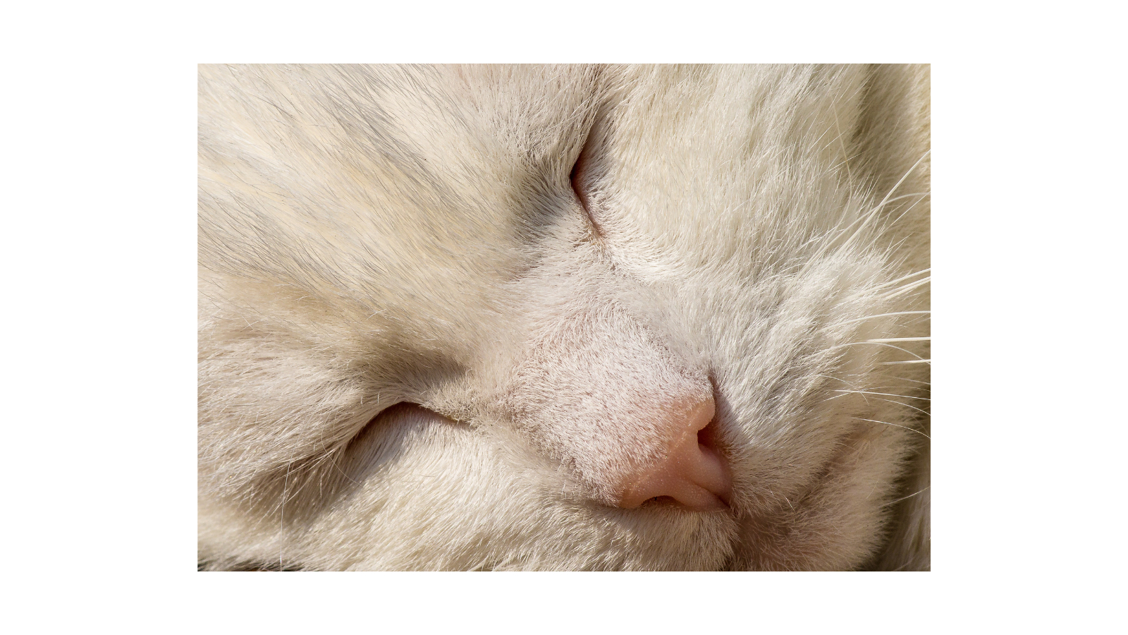 名称未設定のデザイン (41).png