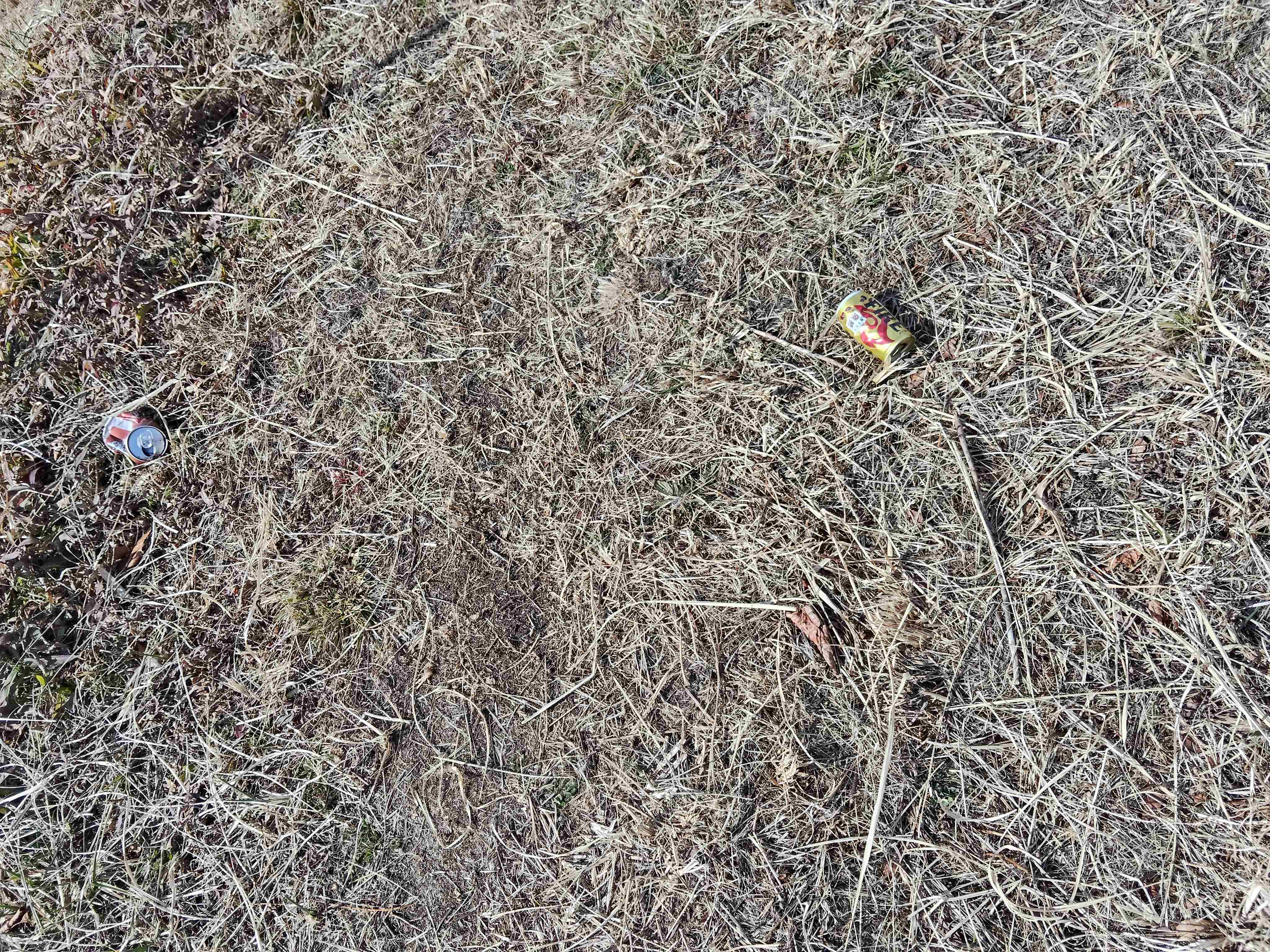 IMG20260129120237.jpg
