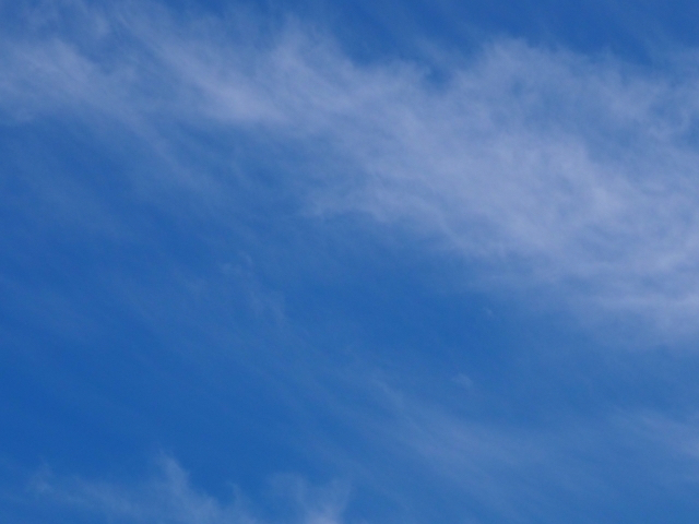 26082585_s.jpg