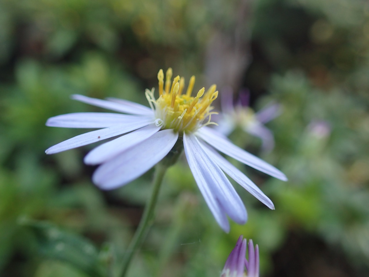 PA221167.JPG