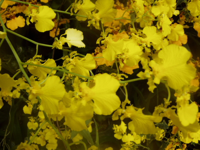 P1010004.JPG