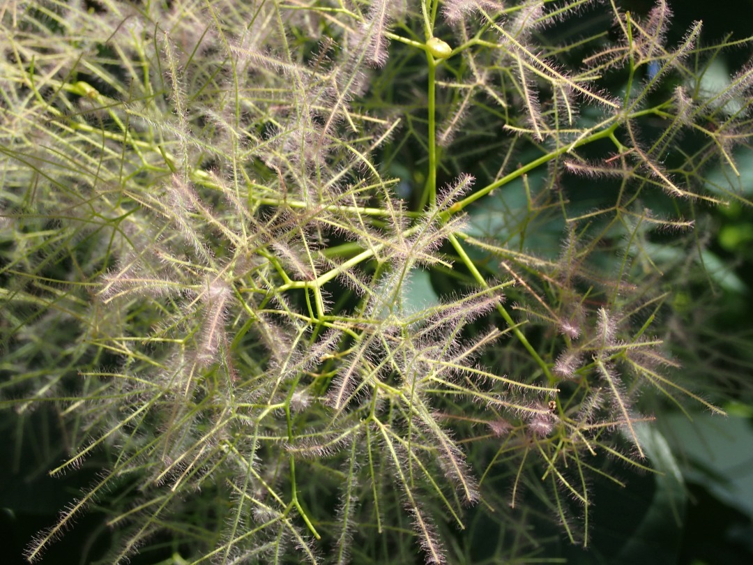 P5310069.JPG