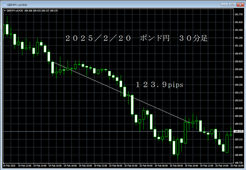 20250220ポンド円３０分足.png