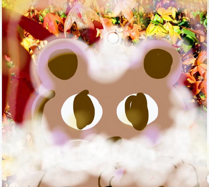 sketch-1671667279999.png