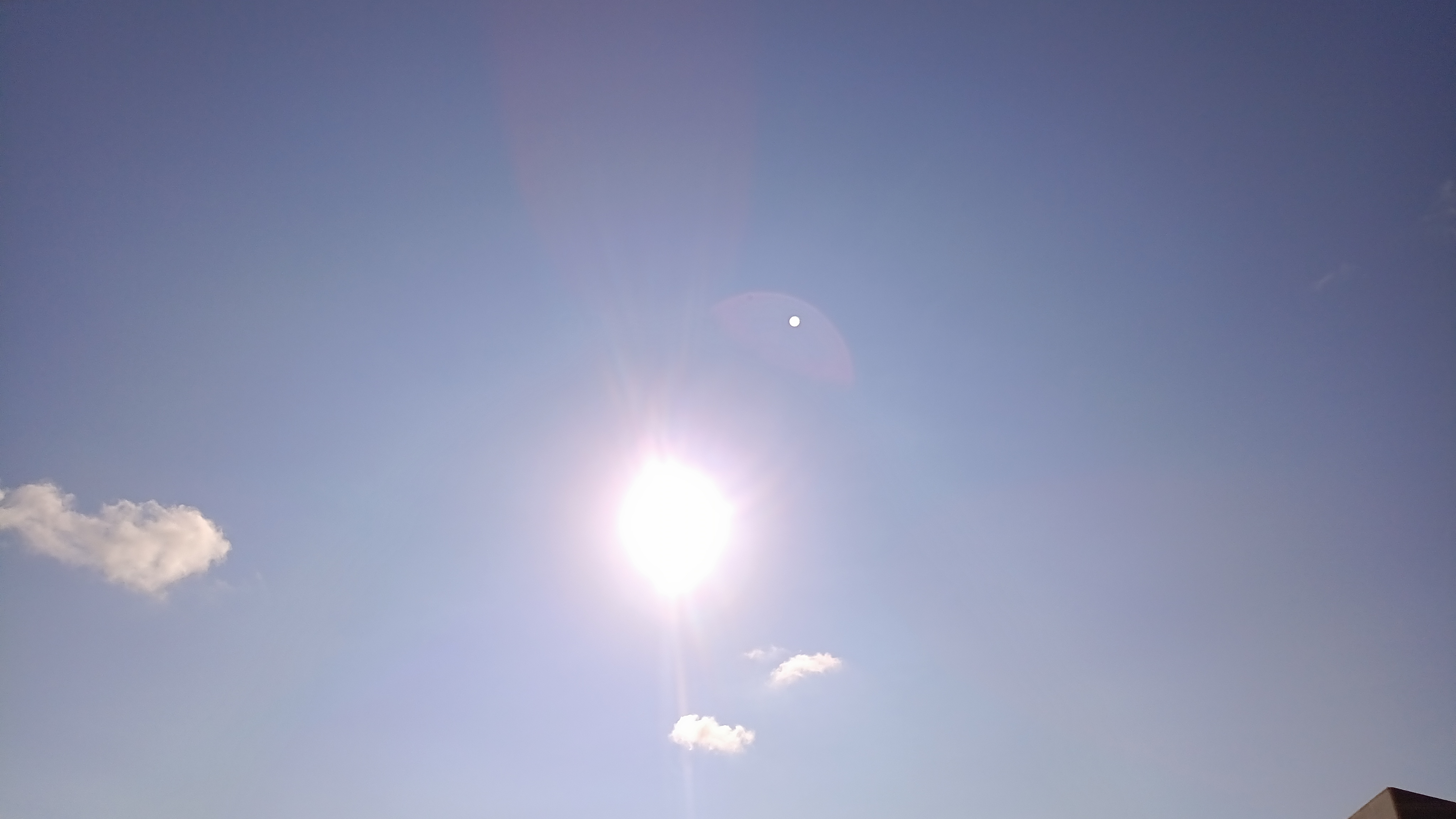 IMG_20250819_074231_350.jpg