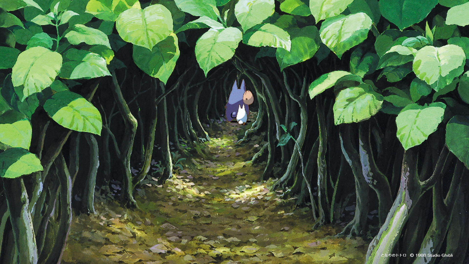 totoro1.jpeg