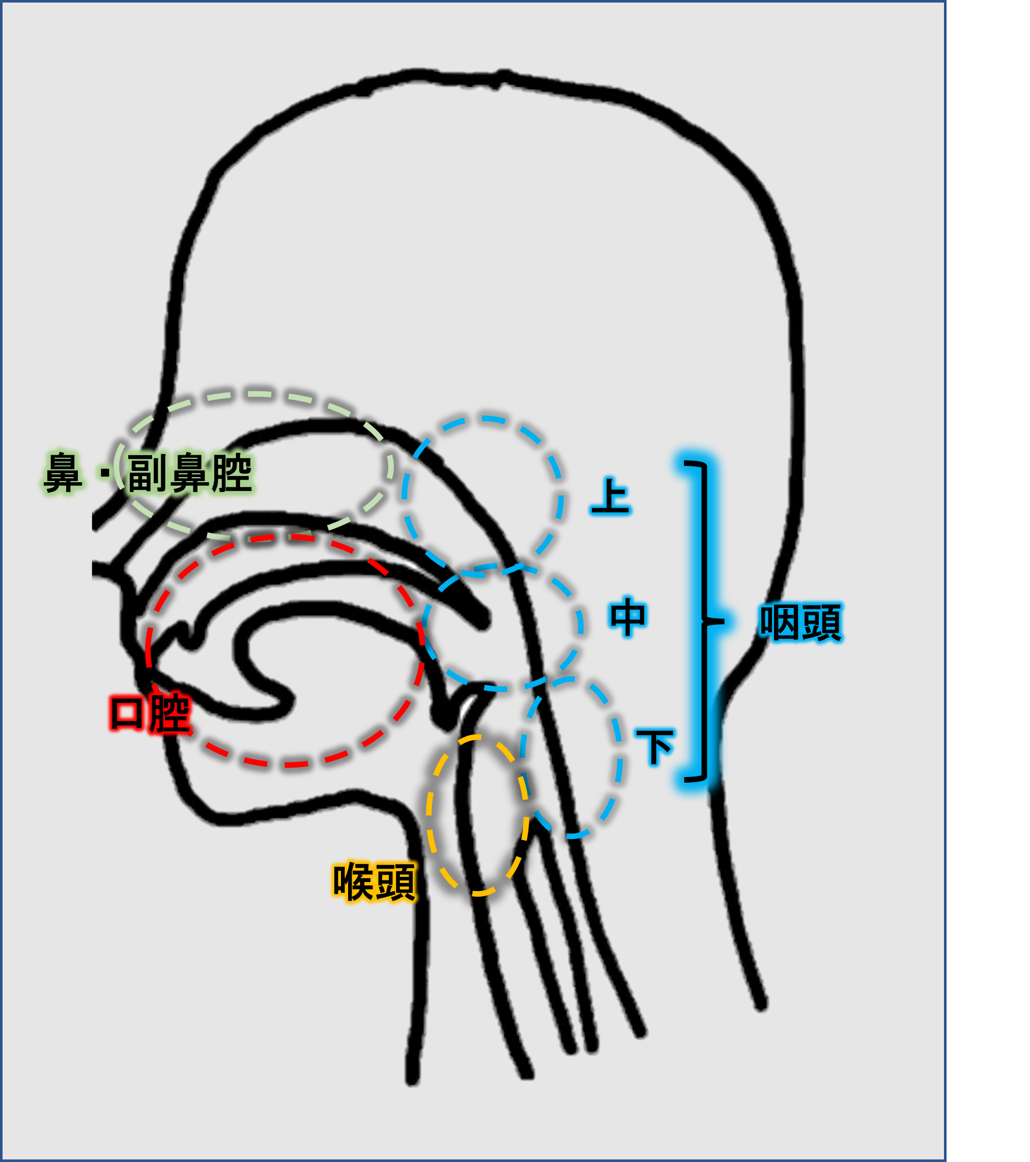 画像1.png