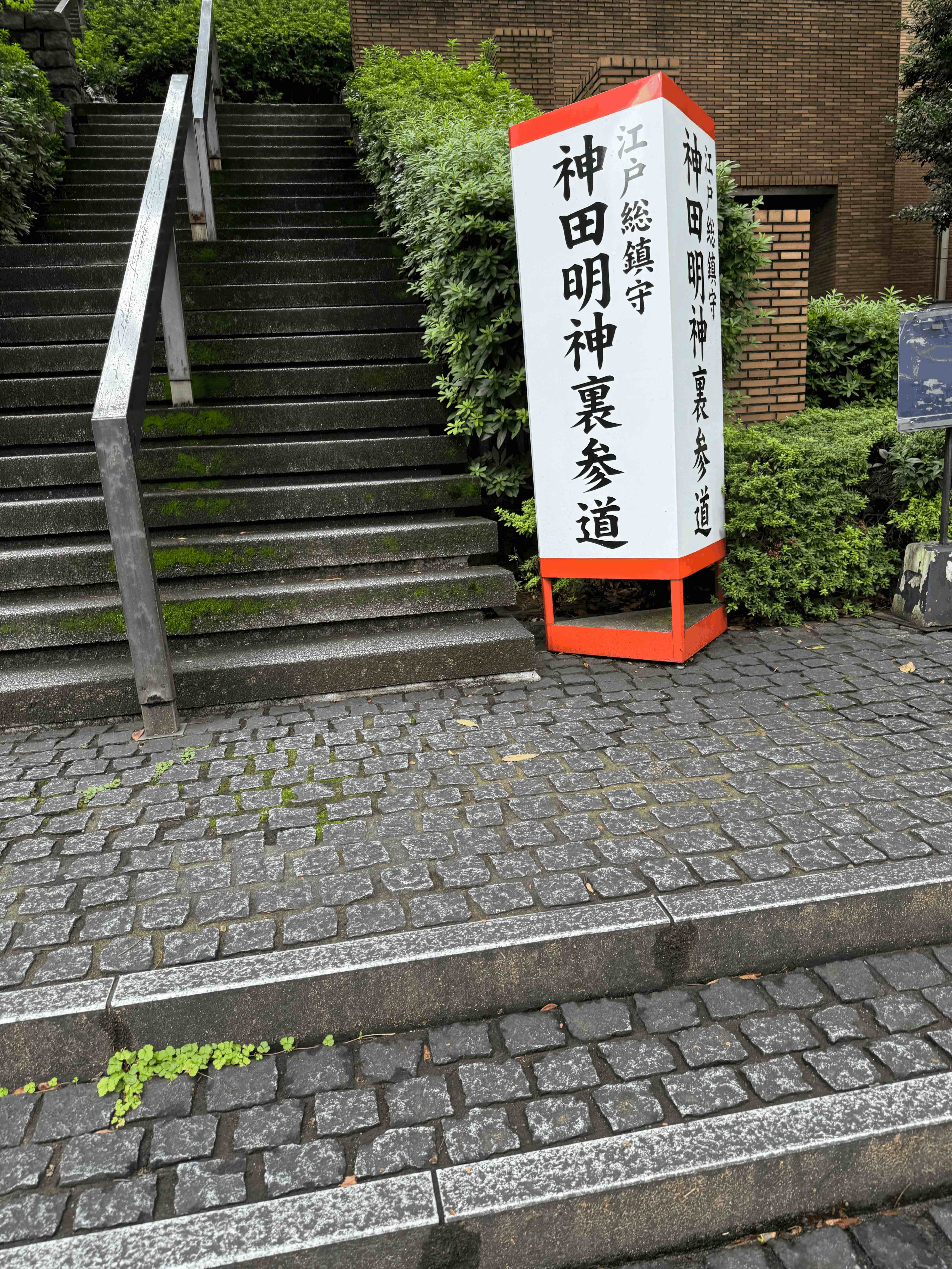 tempImageX20rR1.gif