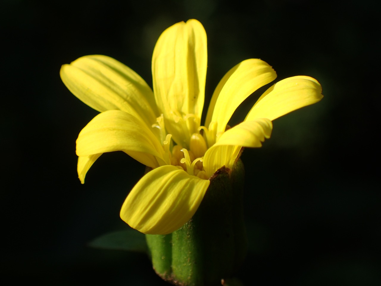 PB160634.JPG