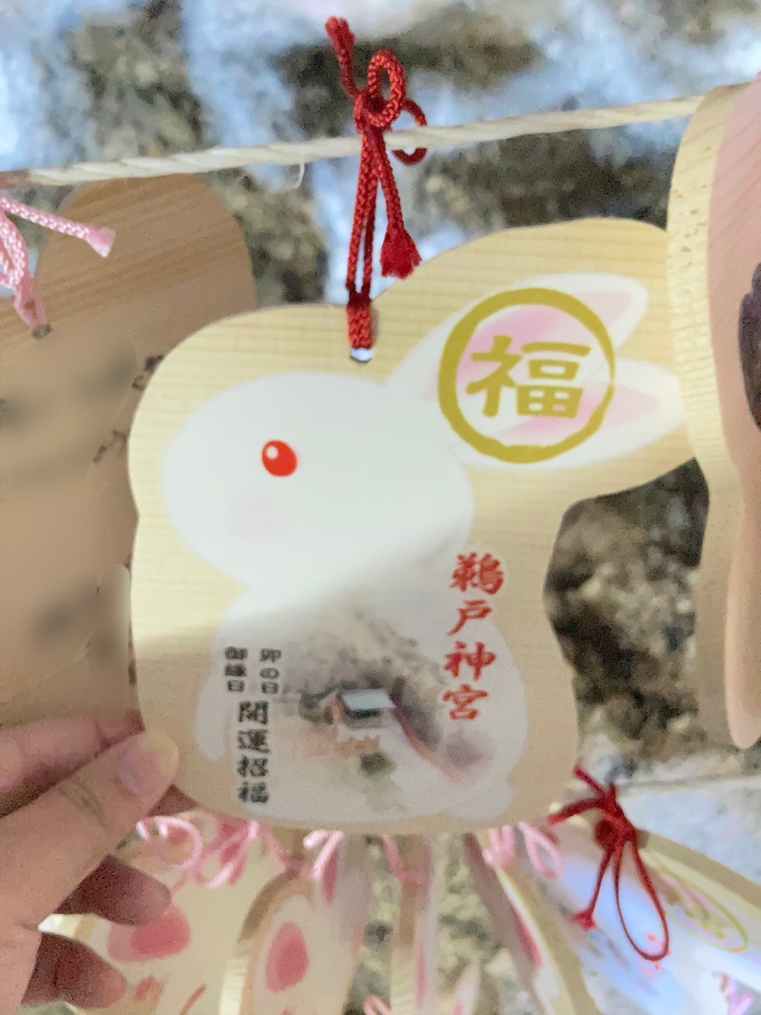 S__212975626.jpg