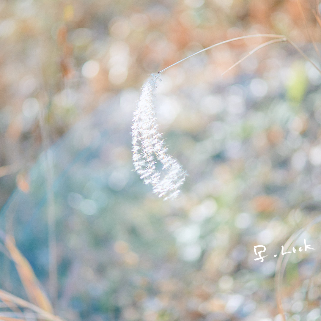 _P_24099 のコピー.jpg