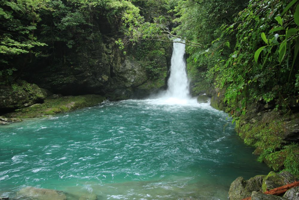 Photo14.JPG