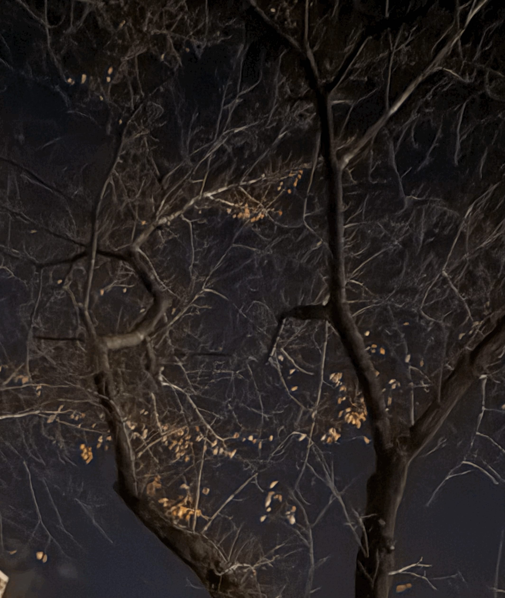 tempImagenPL2F8.gif