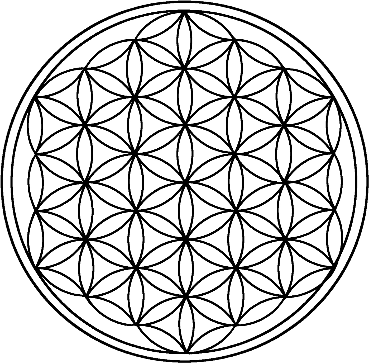 波動 はどう って何なのさ けむさむ Coconalaブログ