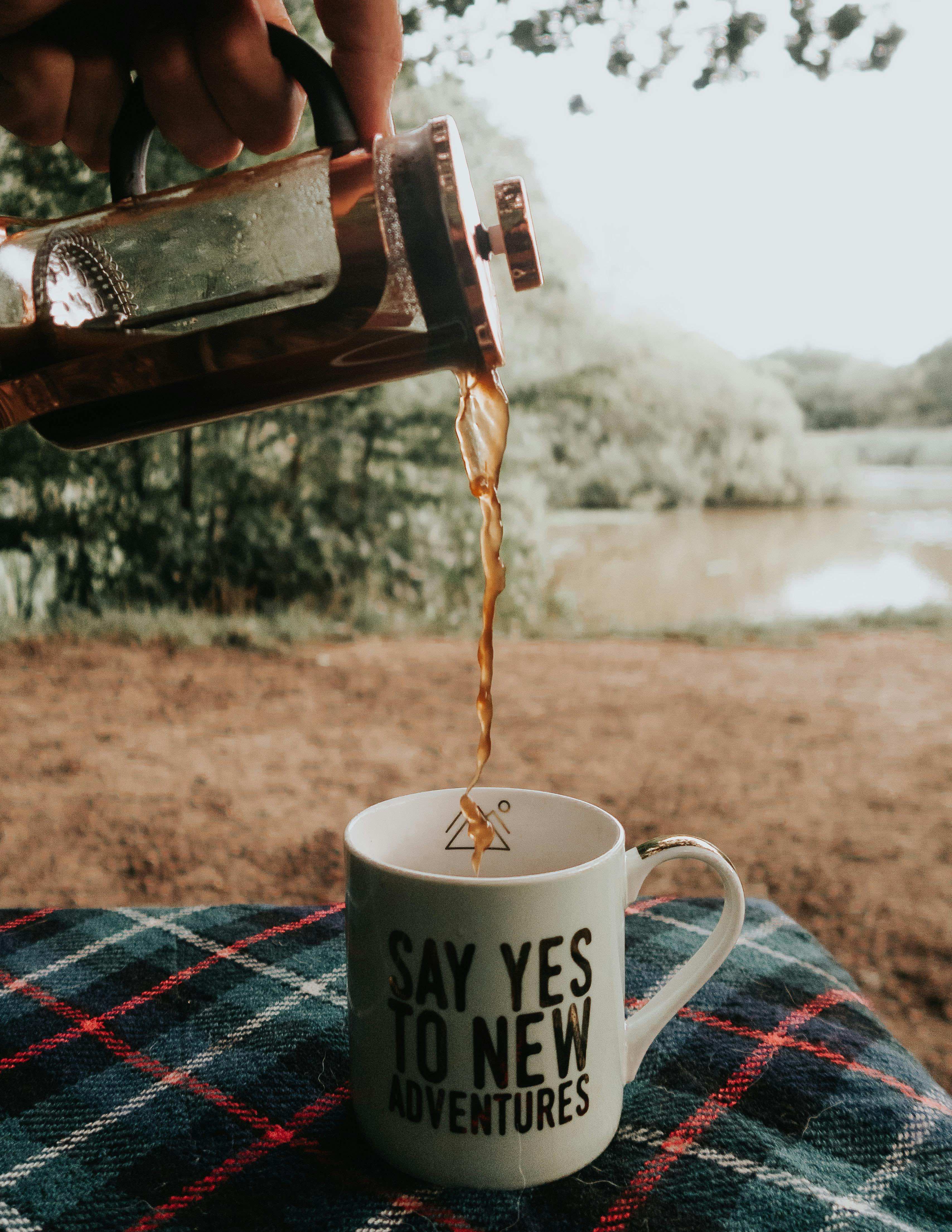 pexels-jack-redgate-333633-3013980.jpg