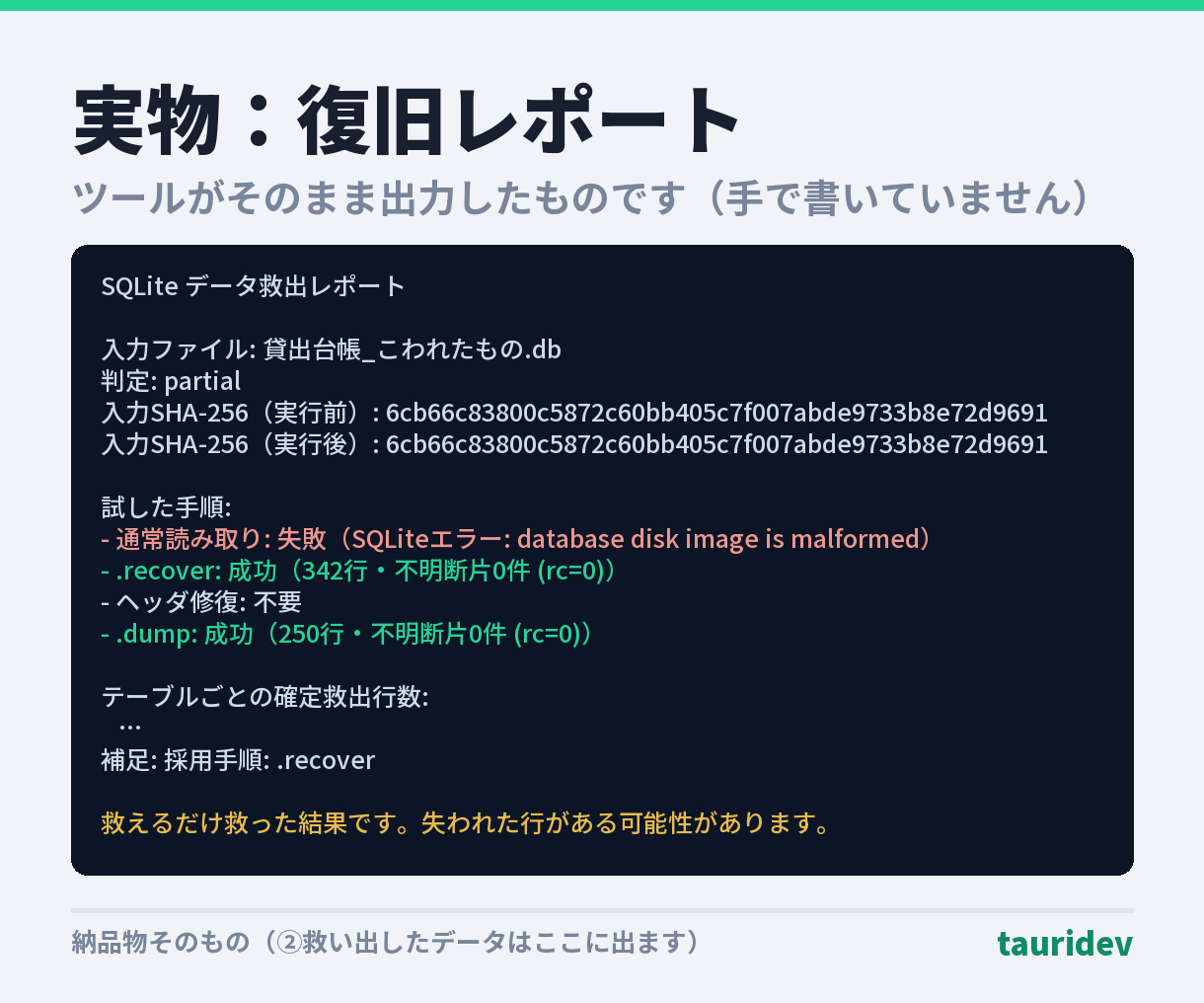 02_本文_実物_復旧レポート.png