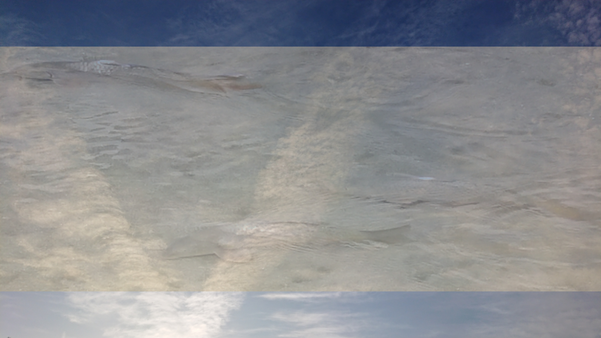 sketch-1653902442525.png