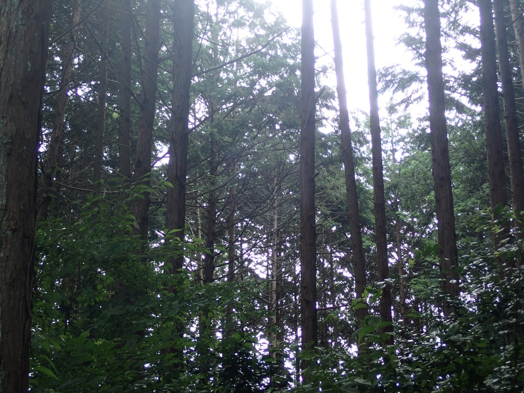 P7220614.JPG