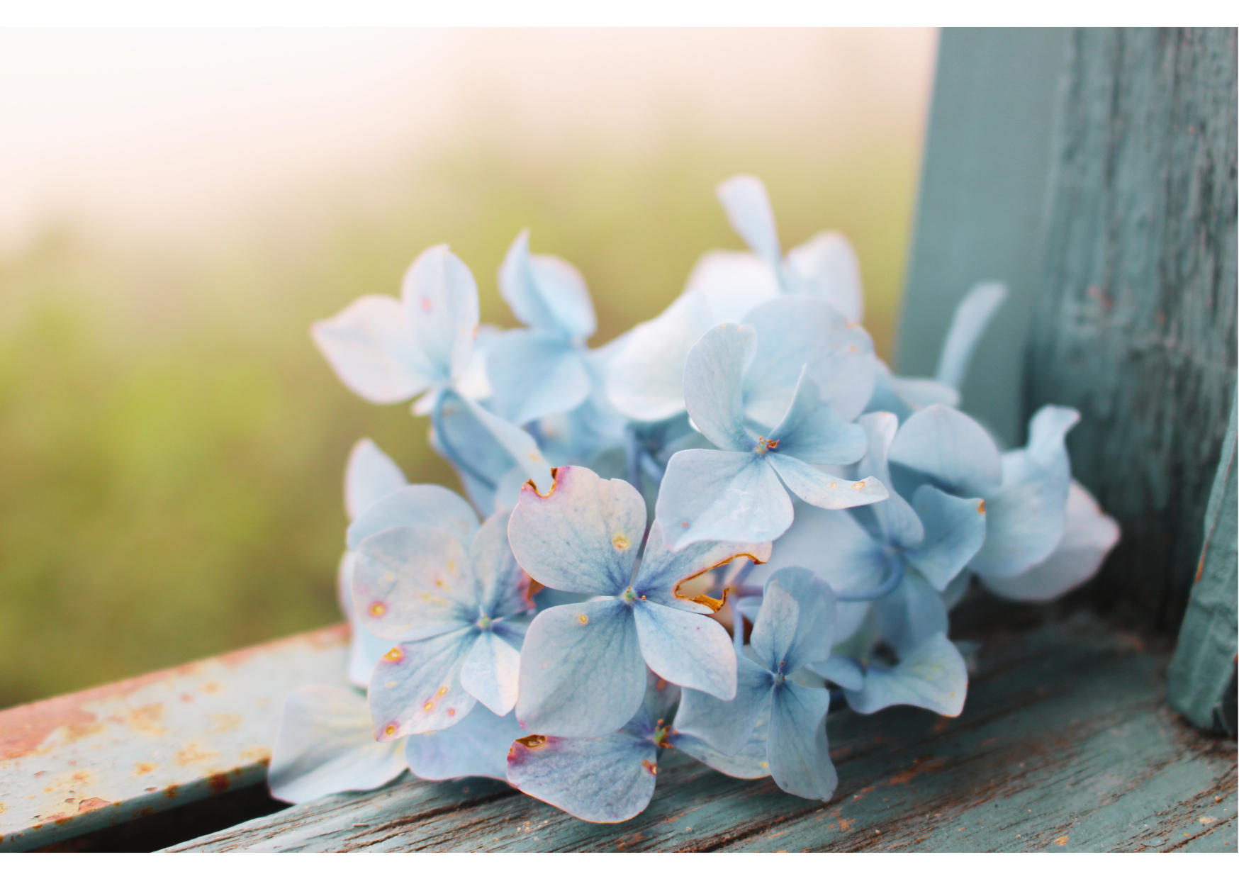 名称未設定のデザイン - 2023-11-19T202428.099.png