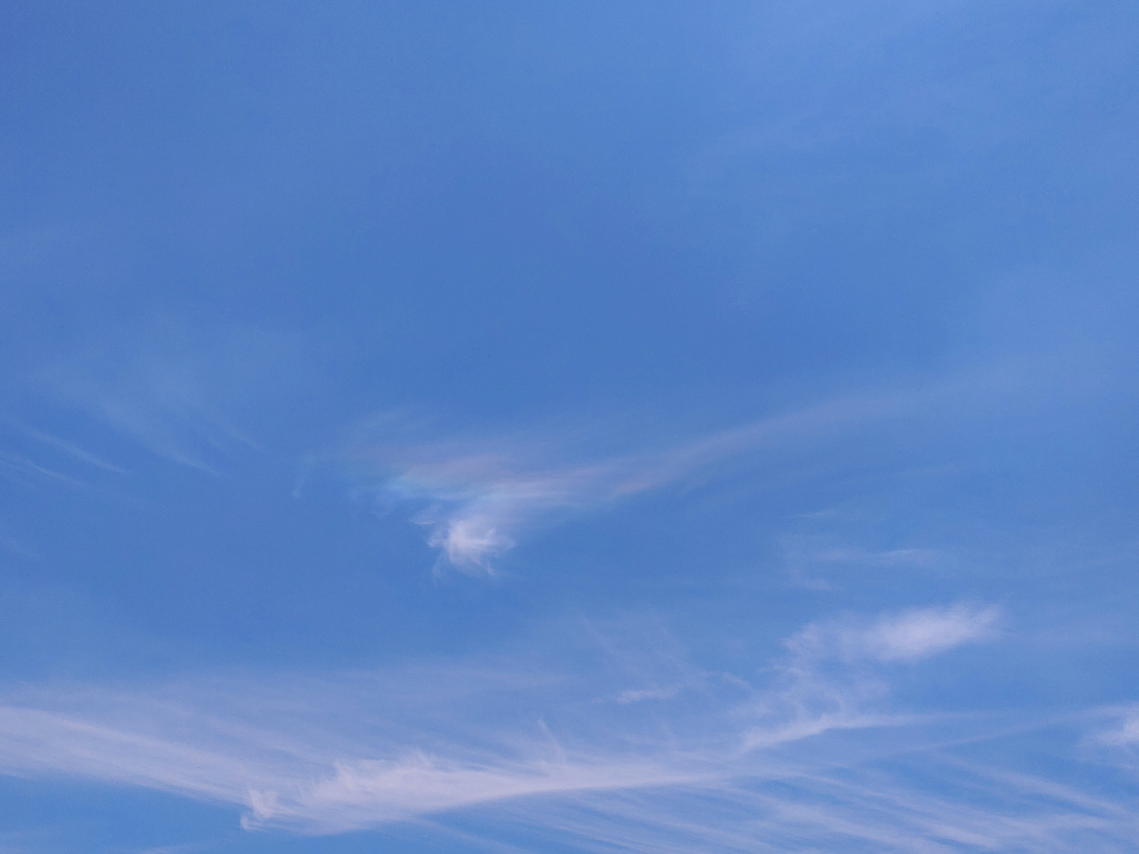 DSC_3931.JPG