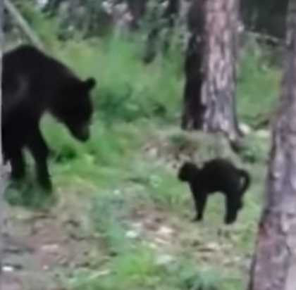 スクリーンショット (3919).png