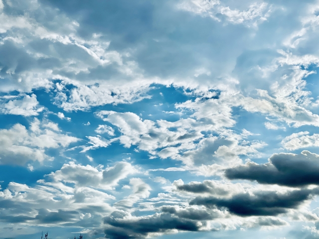 27631922_s.jpg