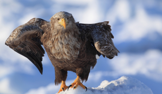 スクリーンショット 2022-11-02 11.45.10.png