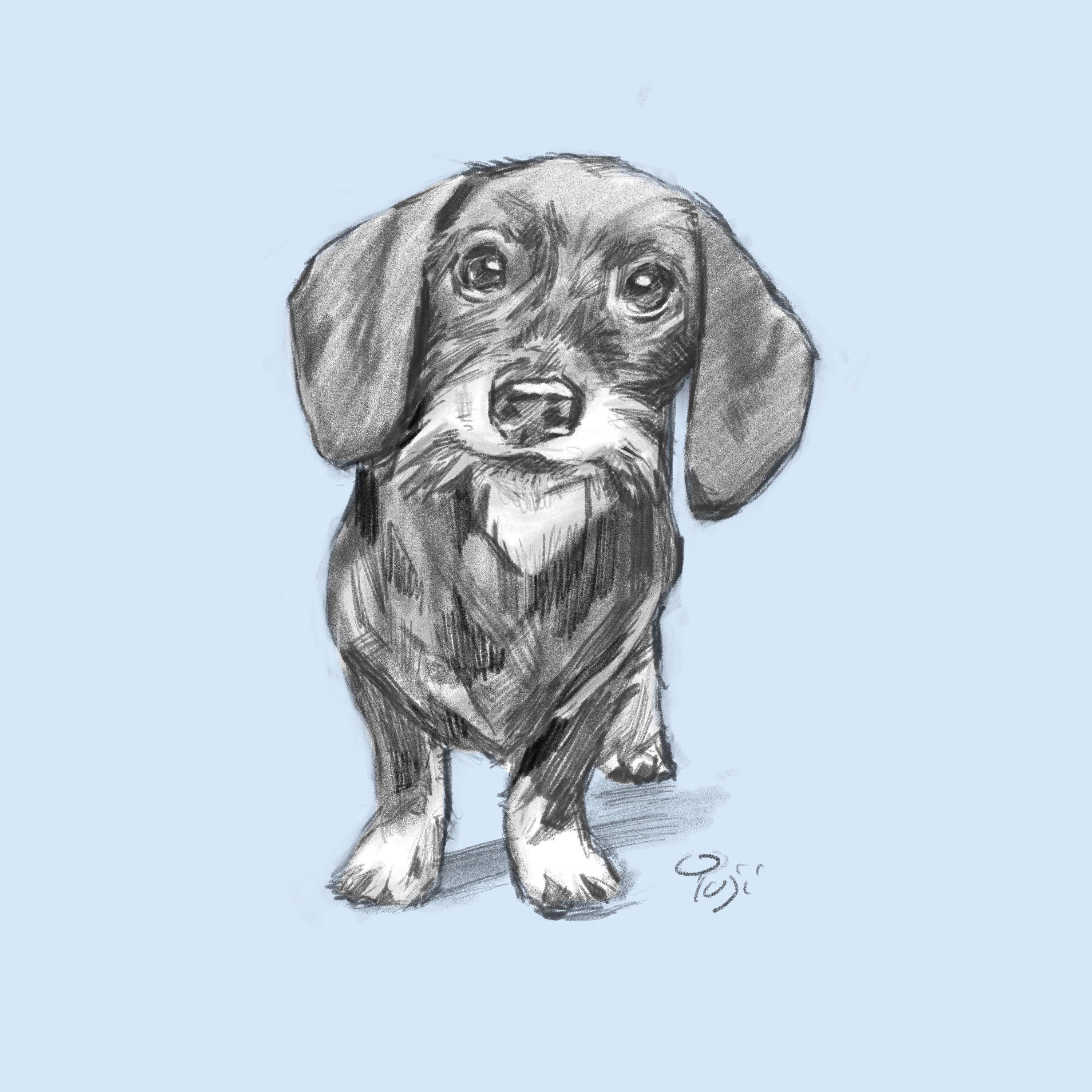 名称未設定のアートワーク 5.JPG