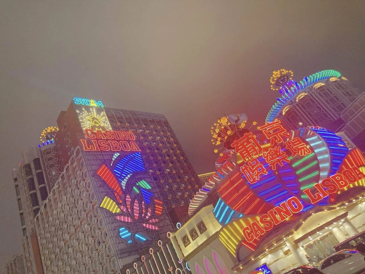 picture_pc_0fa39b456b01dc3114edbc87eca16a12 (1).jpg