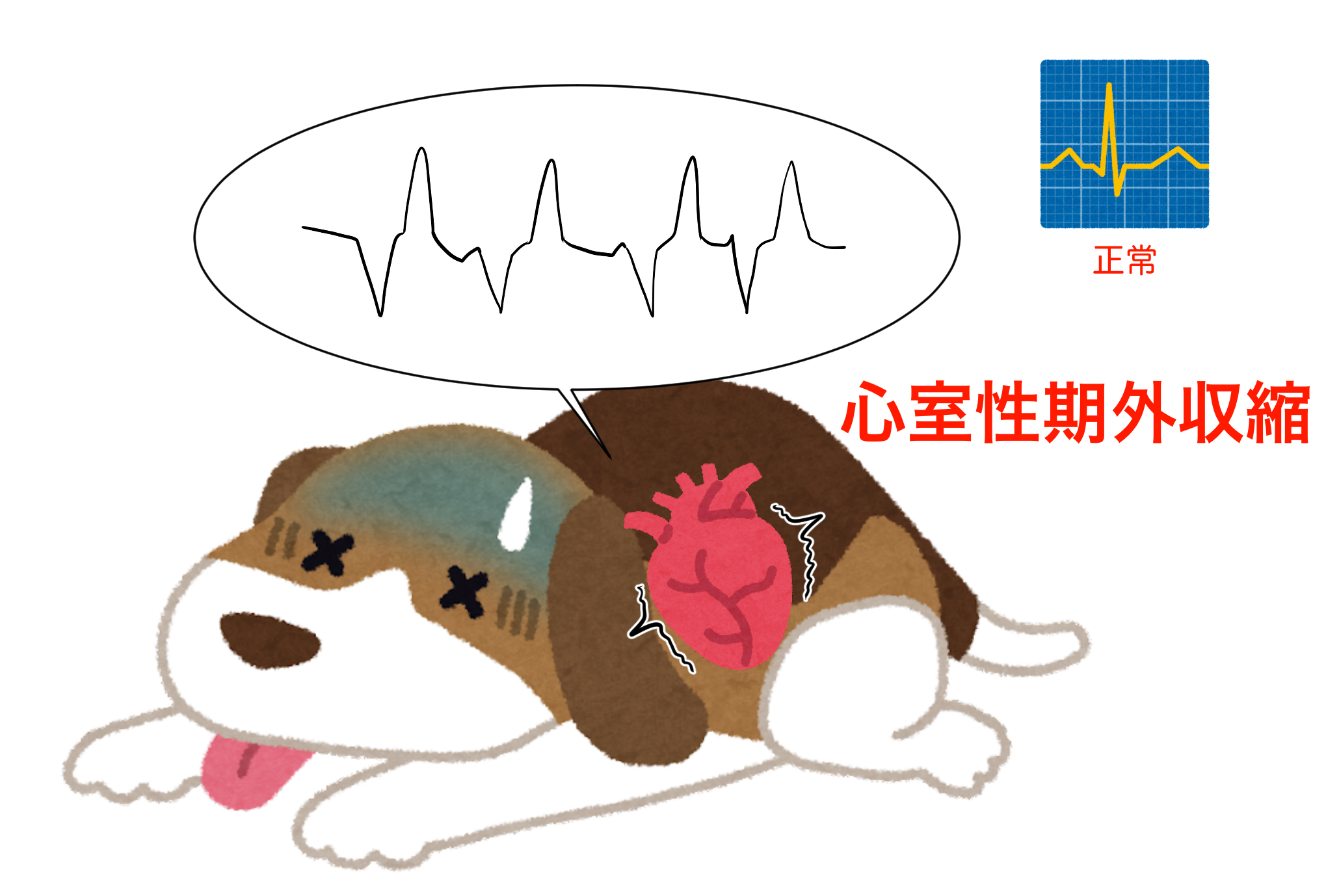 IMG_2096.png
