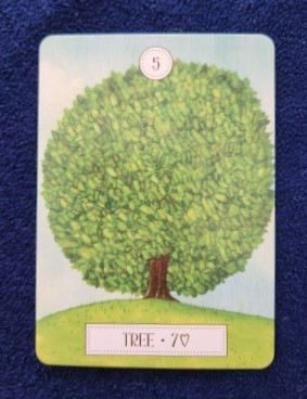 20230818_083853 (002).jpg