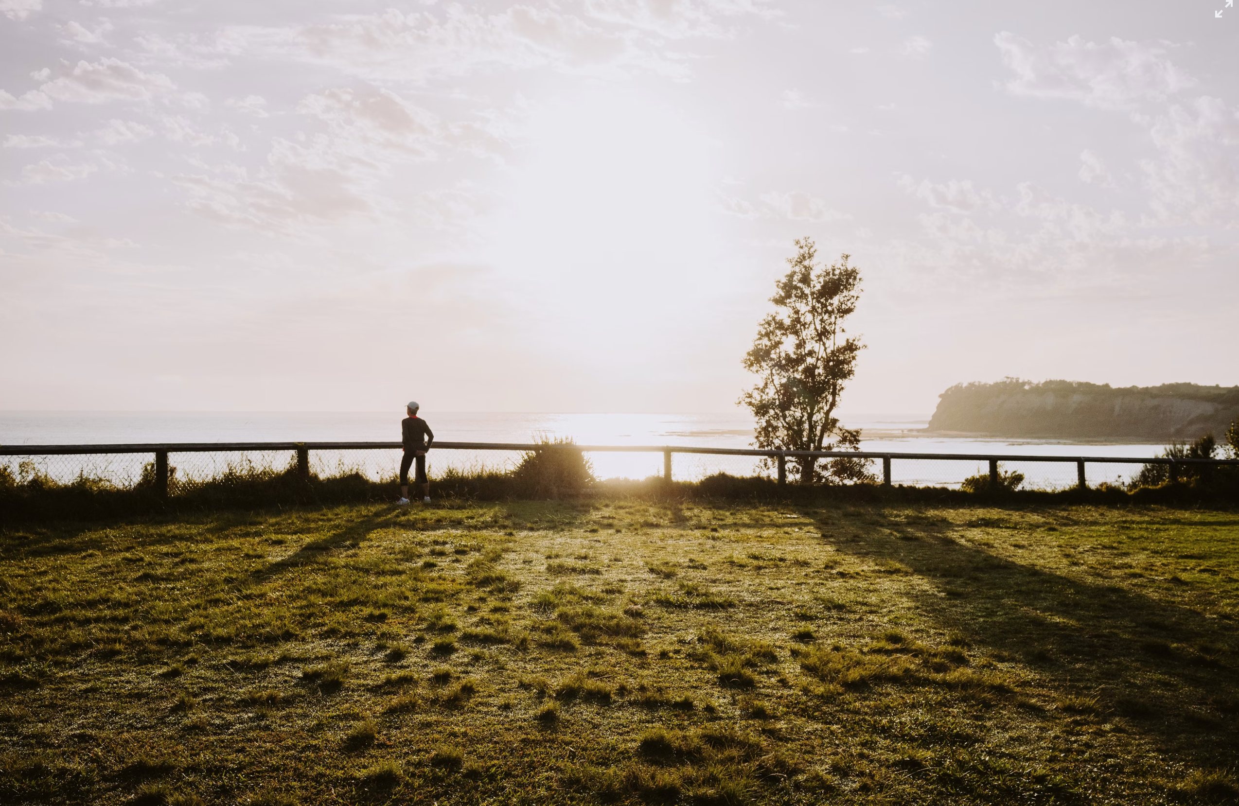 スクリーン ショット 2025-05-31 に 14.56.33 午後.png