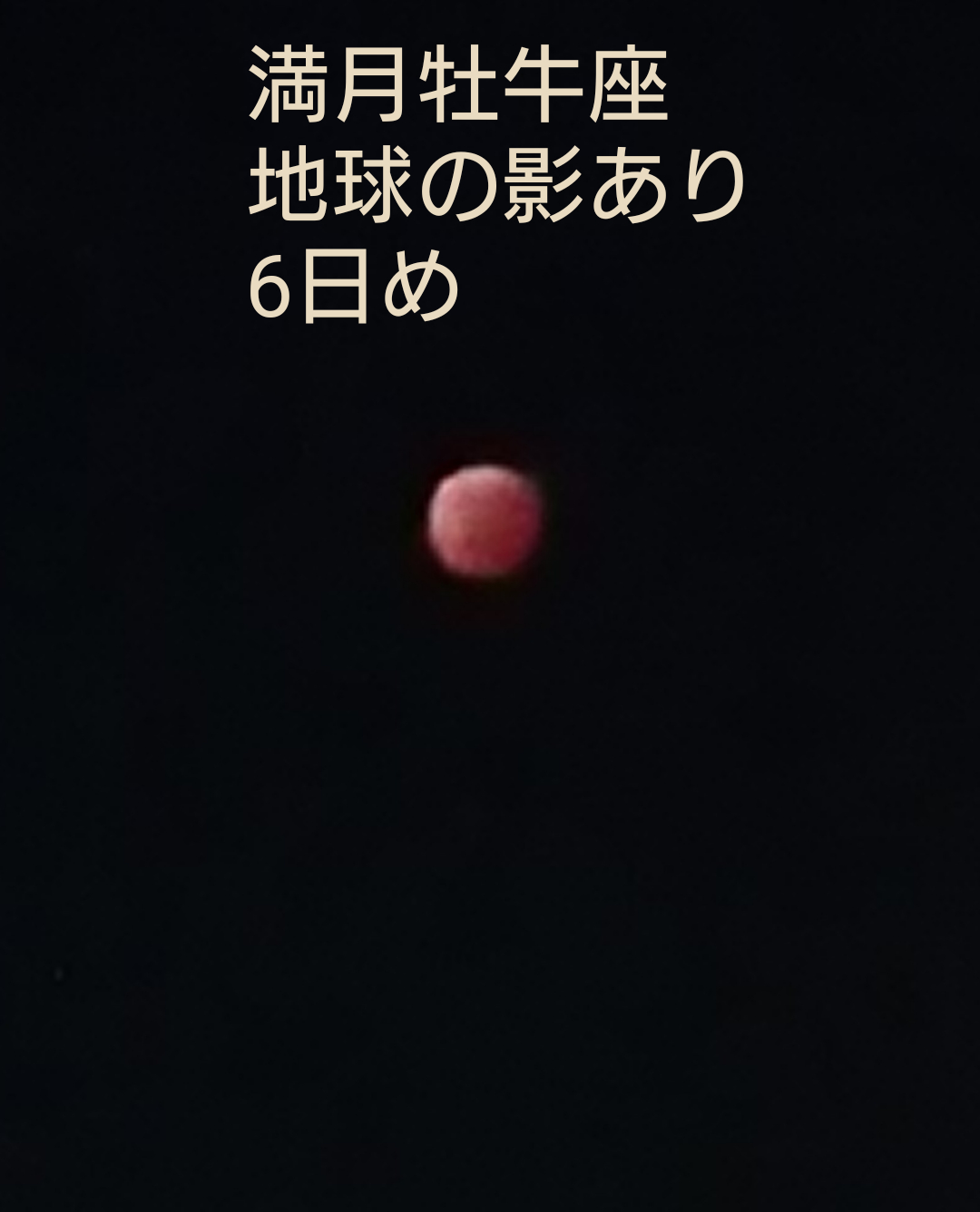 sketch-1667953478493.png