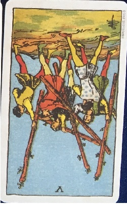 ワンド5(逆).jpg