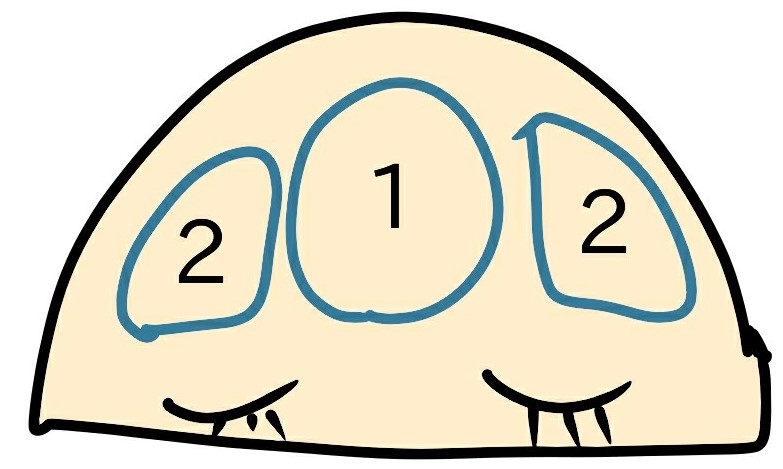 2222.jpg