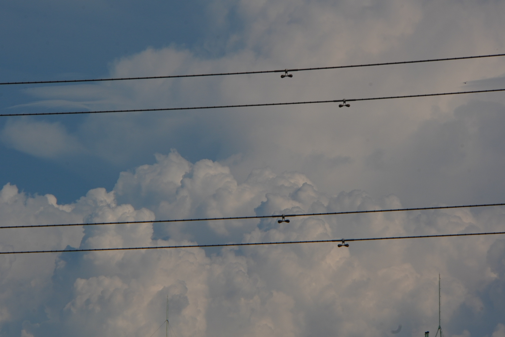D037601C-FA45-48B9-AAB3-F319E28D2420.jpeg