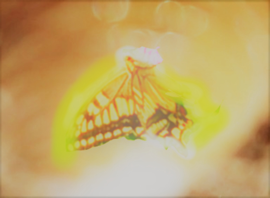 sketch-1669526030643 (2).png