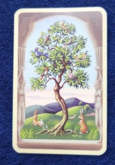 20230710_085542 (002).jpg