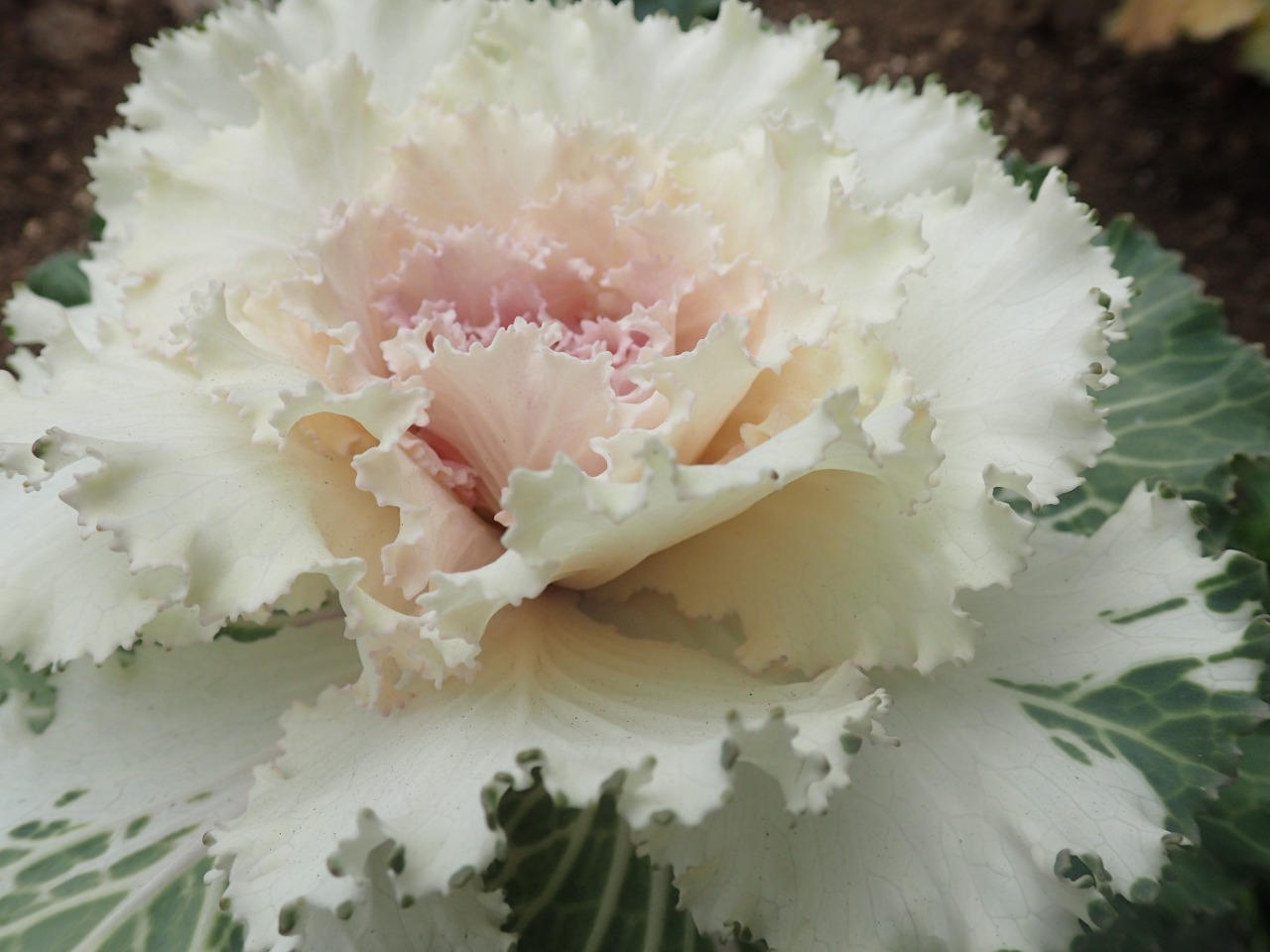 PC220133.JPG